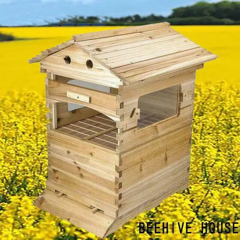 Unassembled Chinese Fir Wood Automatic Flowing Hive With Plastic Frames Apiculture Beekeeping