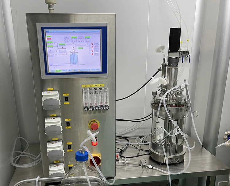 Automatic Cell Culture Bioreactor High Pressure Biofermenter Glass Tank