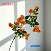 #7สีส้ม