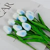 #16 blu 1