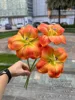 3 smiley tulipani arancione