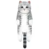 Round Face Leopard Cat
