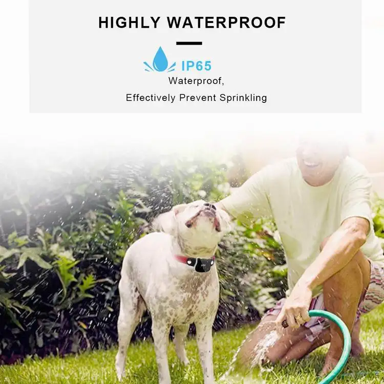 internal gps for dogs