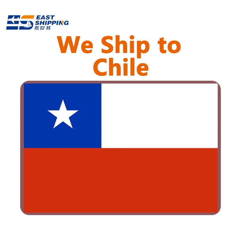 Shipping Agent Forwarder Forwarder China To Chile Container Shipping Agente De Carga To Chile By Sea