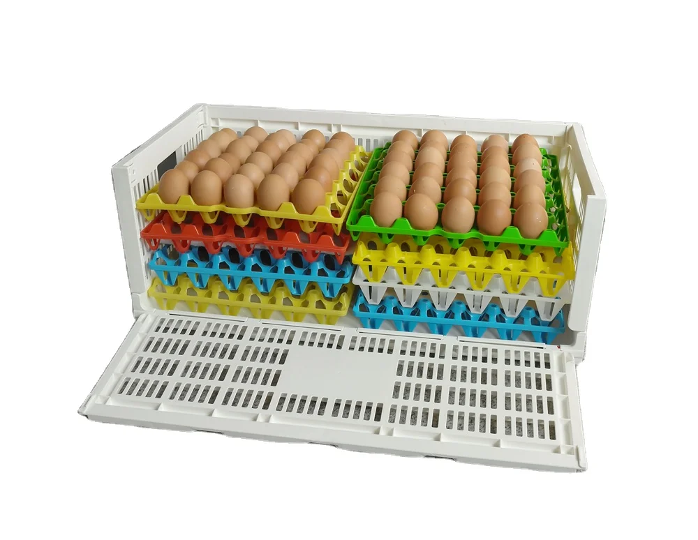 Hot Sale Plastic Crate for Egg Trays Collapsible Plastic Storage Crates Mesh Ventilate Folding Plastic Crates