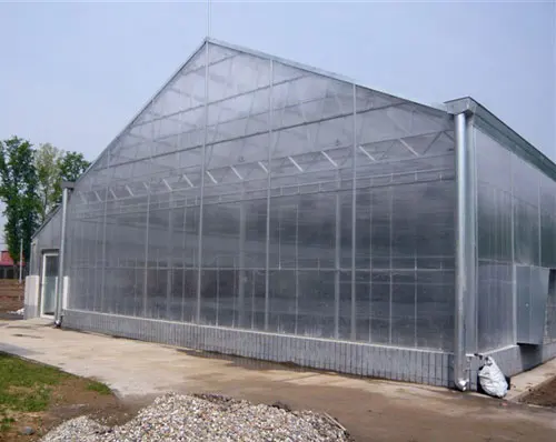 Modern Venlo Polycarbonate Glass Farming Greenhouse Multi-span ...