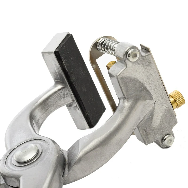 Pince à Perforer Les Oreilles En Acier Inoxydable En Forme De