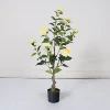 Giallo 90 cm