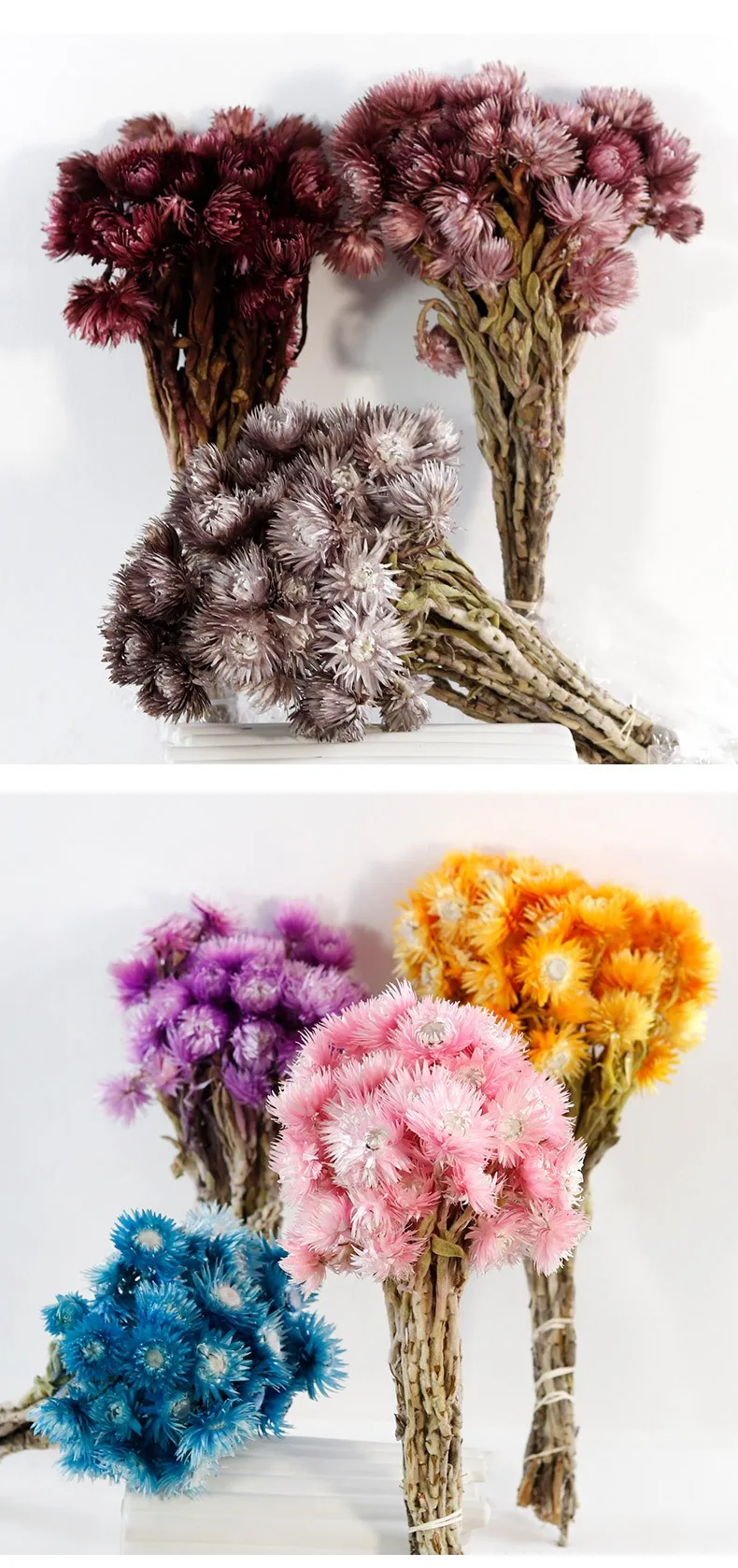 E333 Preserved Real Strawflower Fresh Flowers Dried Rock Chrysanthemum Daisy Flowers For Floral