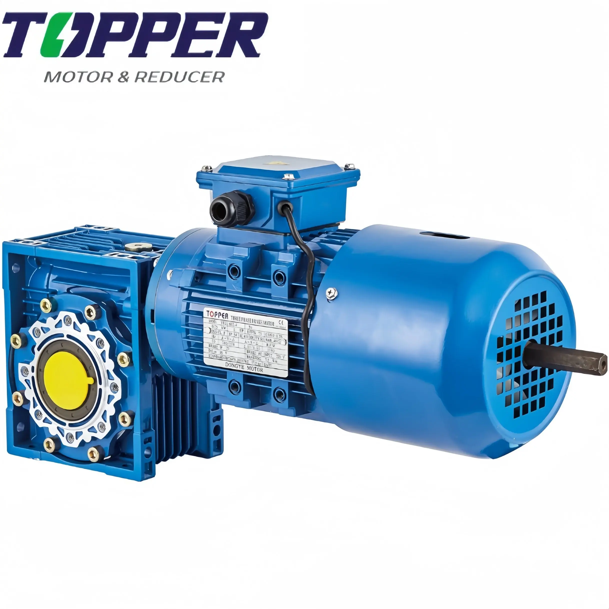 Three Phase 180W DC Electromangnetic-brake Electric Motor with NMRV050 63B5 Flange Worm Reducer Integrated Motor Reducer