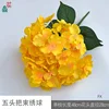 Five-headed hydrangea FX (two sets of leaves) Orange-yellow