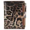 Leopardo