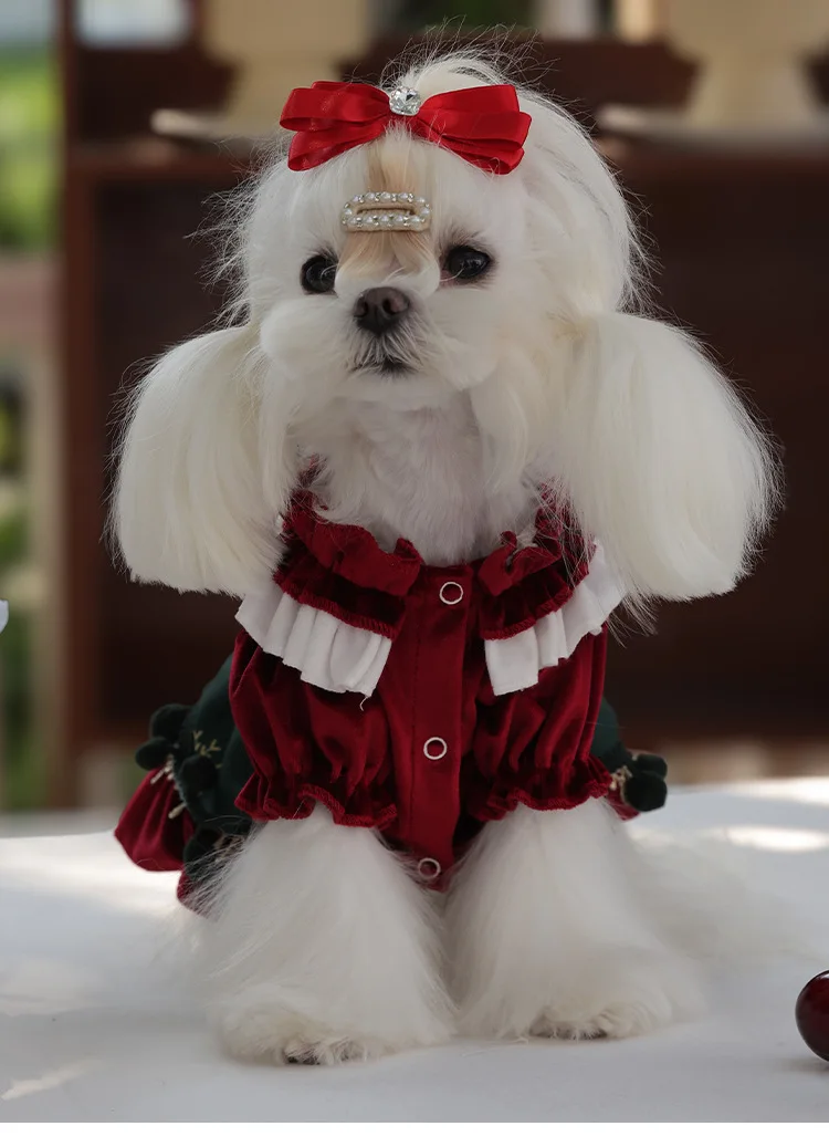 Pet Clothing Fall Velvet Hair Prevention Puppy Small Dog Dress Christmas Suits With Bow