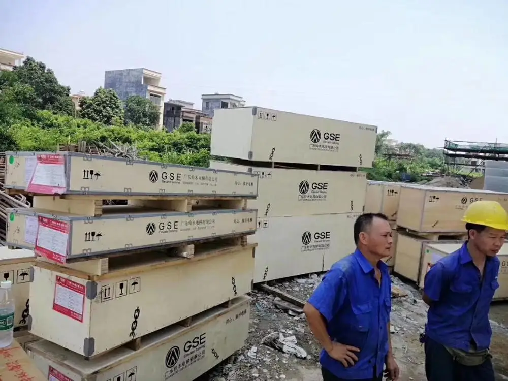 
10 лучших лифтовых компаний, бытовые Пассажирские Лифты, цена в мире 