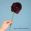 Black Purple