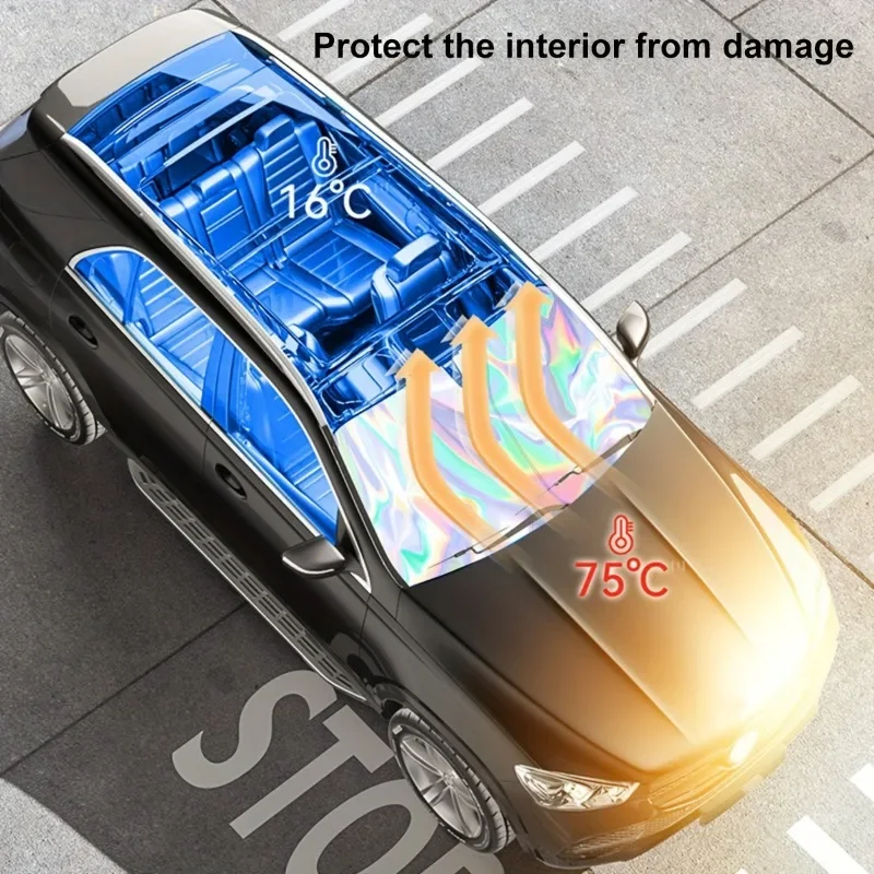 Interior Protection