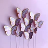 10 pz gradiente farfalla 03