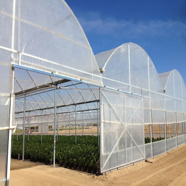 Long Time UV Resistant Multi Span Agricultural Greenhouses