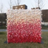 Rosso + rosa + bianco