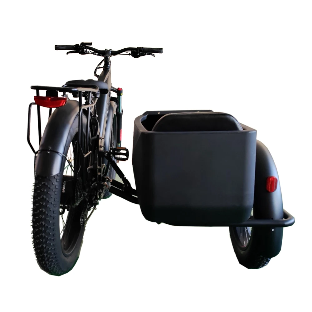 Side Car Fat Pedelec Retro E-Bike with 250w Motor