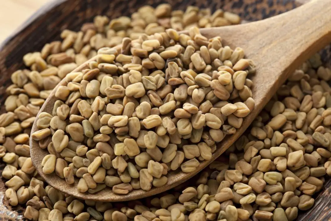 fenugreek-on-a-spoon.jpg