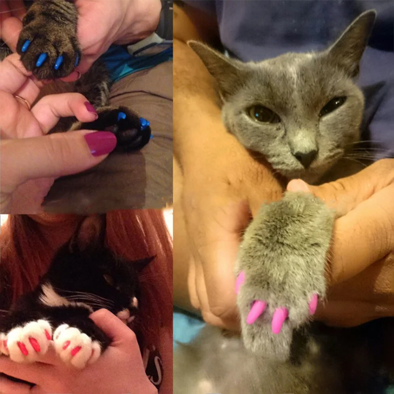 New FASHION colorful Cat Nail cover soft cat Claw Soft Paws 20 PCS/lot with free Adhesive Glue Size XS S M LGift for pet