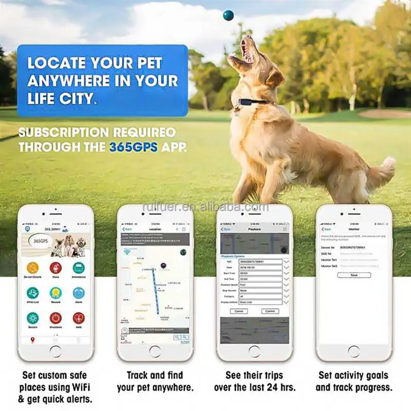 pet city dog tracker
