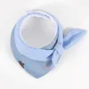 Light blue gentleman style