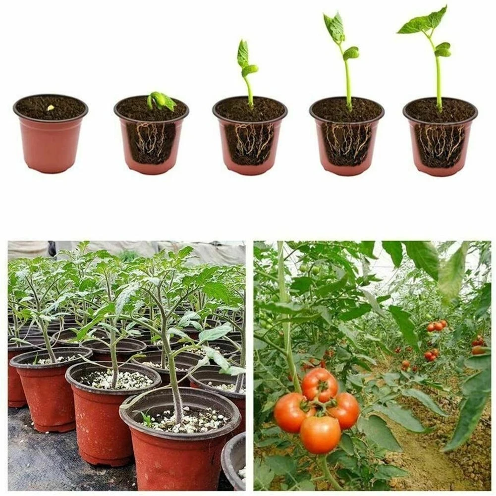 Пластиковый горшок для