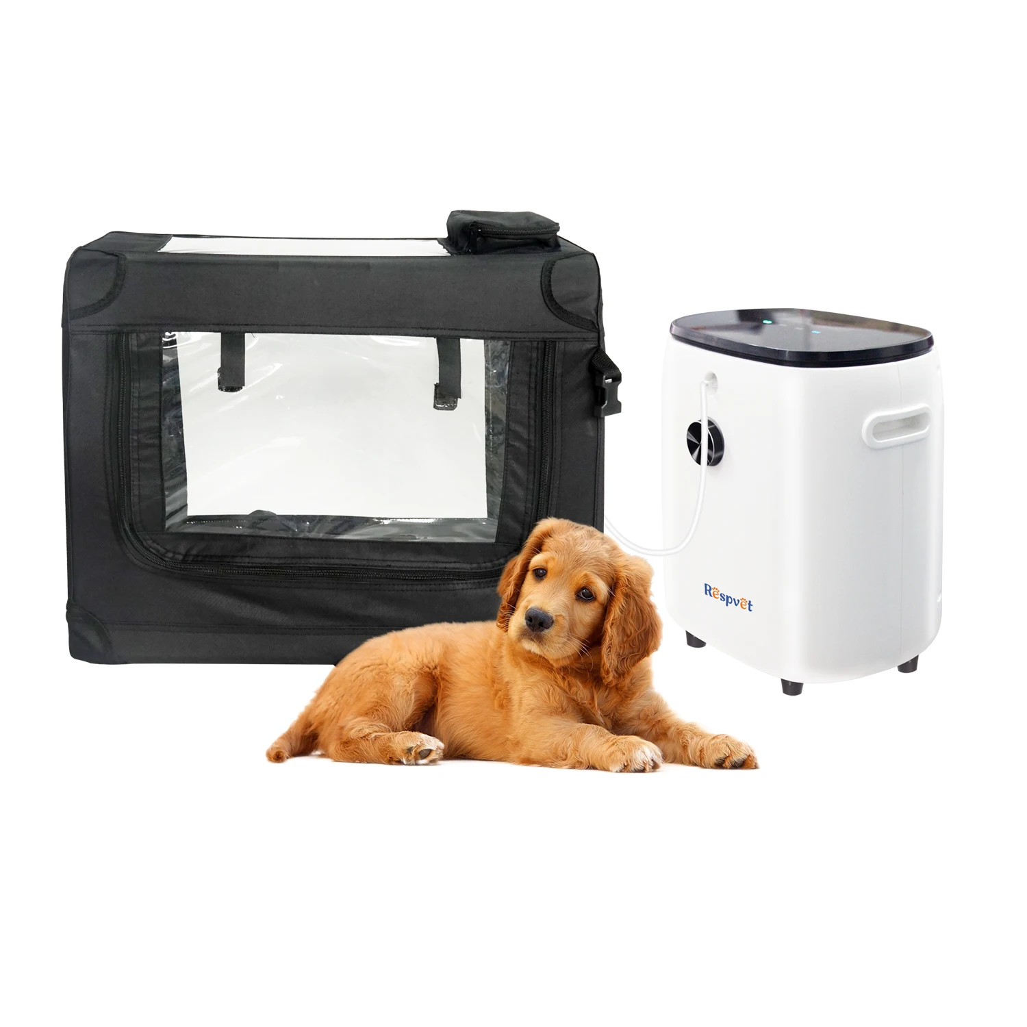 Oxygen Machine for Dogs Small Size Cat Icu Cage Oxygen Pet Tent
