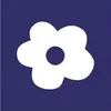 Púrpura