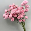 สีชมพู