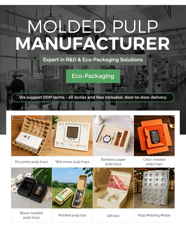 Biodegradable Paper Packing Box | Degradable Dry Press Pulp Packaging ...
