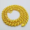 Catena tailandese dorata 10n-60cm