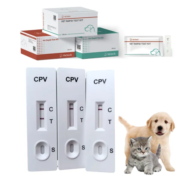 Quick Diagnostic Equipment for Cat Illnesses Vet Rapid Test for CPV/CDV Antibody Combo