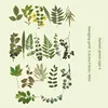 H Traces d'émeraude - Vert