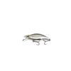 Silver Minnow