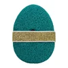 Green Cleasning Sponge