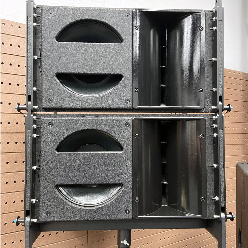 Lase Sound LVERA10 - Professional 10 Inch Speaker for PA