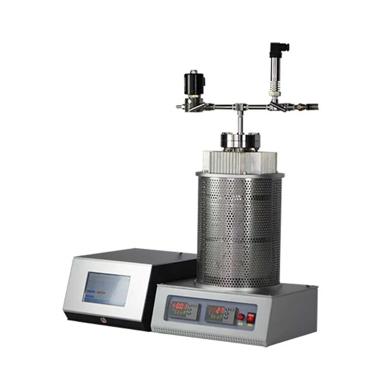 High Pressure Melting Hydrothermal Synthesis PTFE Lined Reactor Teflon-Lined Stainless Steel Autoclave 100ml