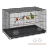 Negro