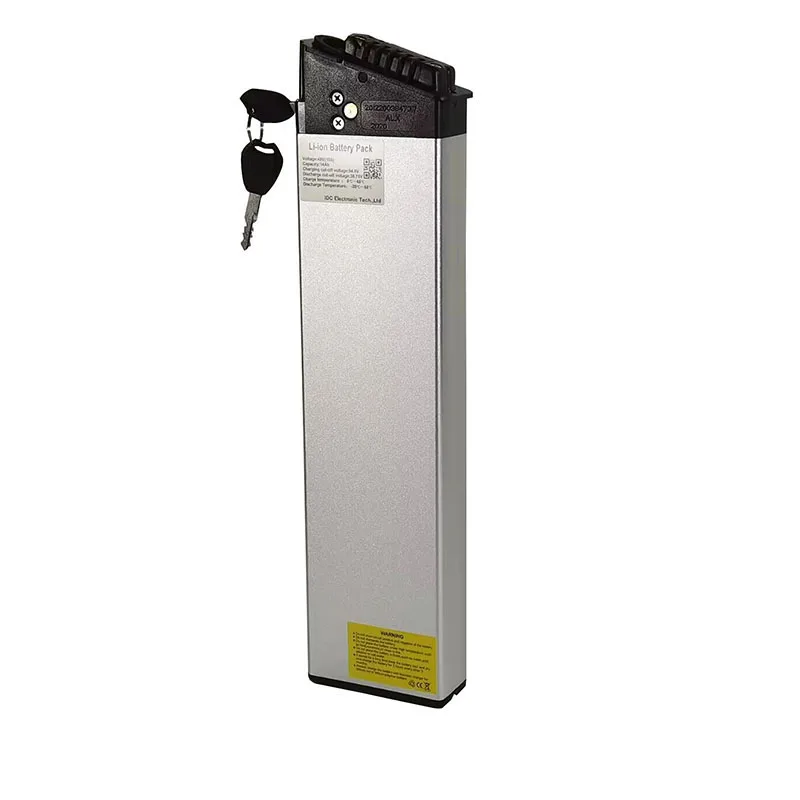 Hot Selling Mate X Bike Battery - 750w 48v 14ah Ebike Power