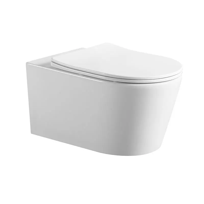 Chaozhou Ceramic Factory Sanitary Ware Rimless European Wall Hung