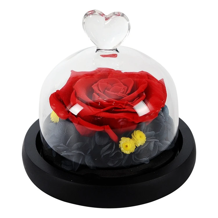 Цветки галактики консервированные розы в стеклянном куполе со светодиодной подсветкой и деревянной
