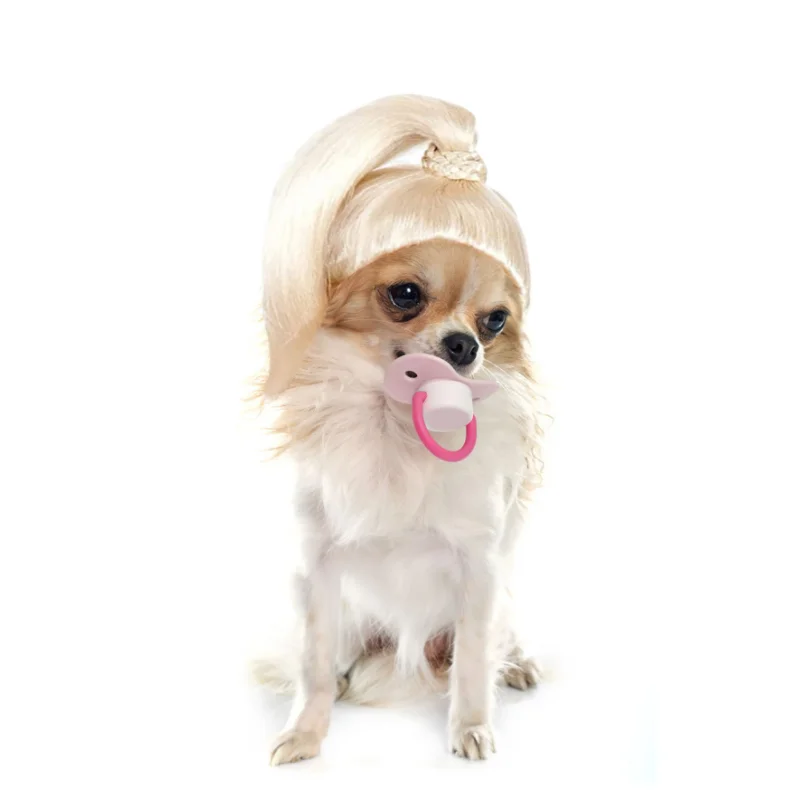 Image 6.png