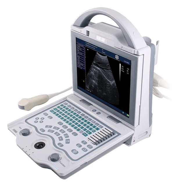 Medical Ultrasound Instrument Portable Laptop Veterinary Color Doppler Ultrasound Machine 3d LED Display Ultrasound
