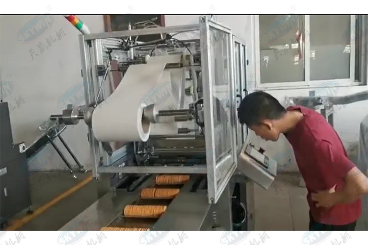 Skywin Automatic Feeding Biscuit X Fold Packing Machine