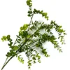 Eucalyptus (light color)
