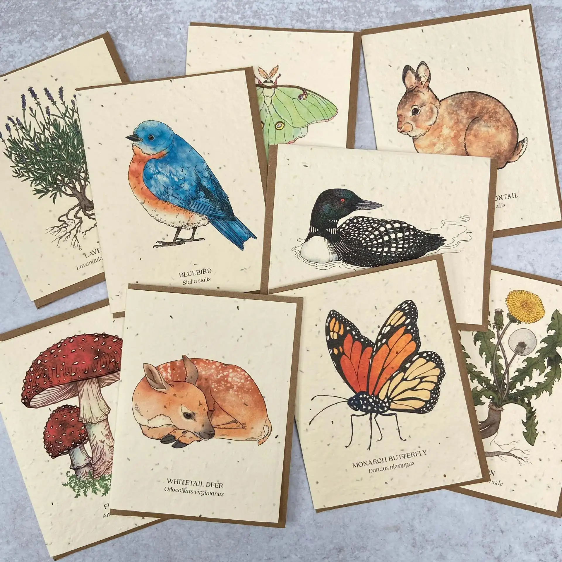 Luxury Custom Logo  Handmade Paper Message Card Thanks Giving Cards Wildflower Embedded Recycled Paper