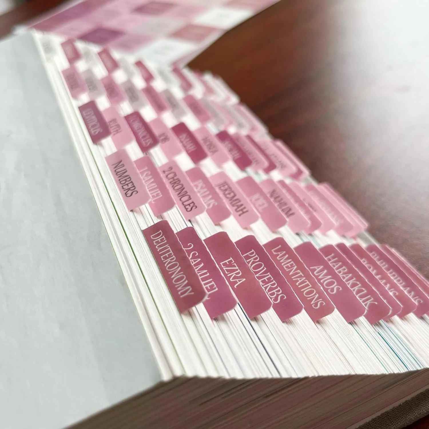 Custom Laminated Bible Tabs for Study Bible Catholic Tabs for Men Tabs ...